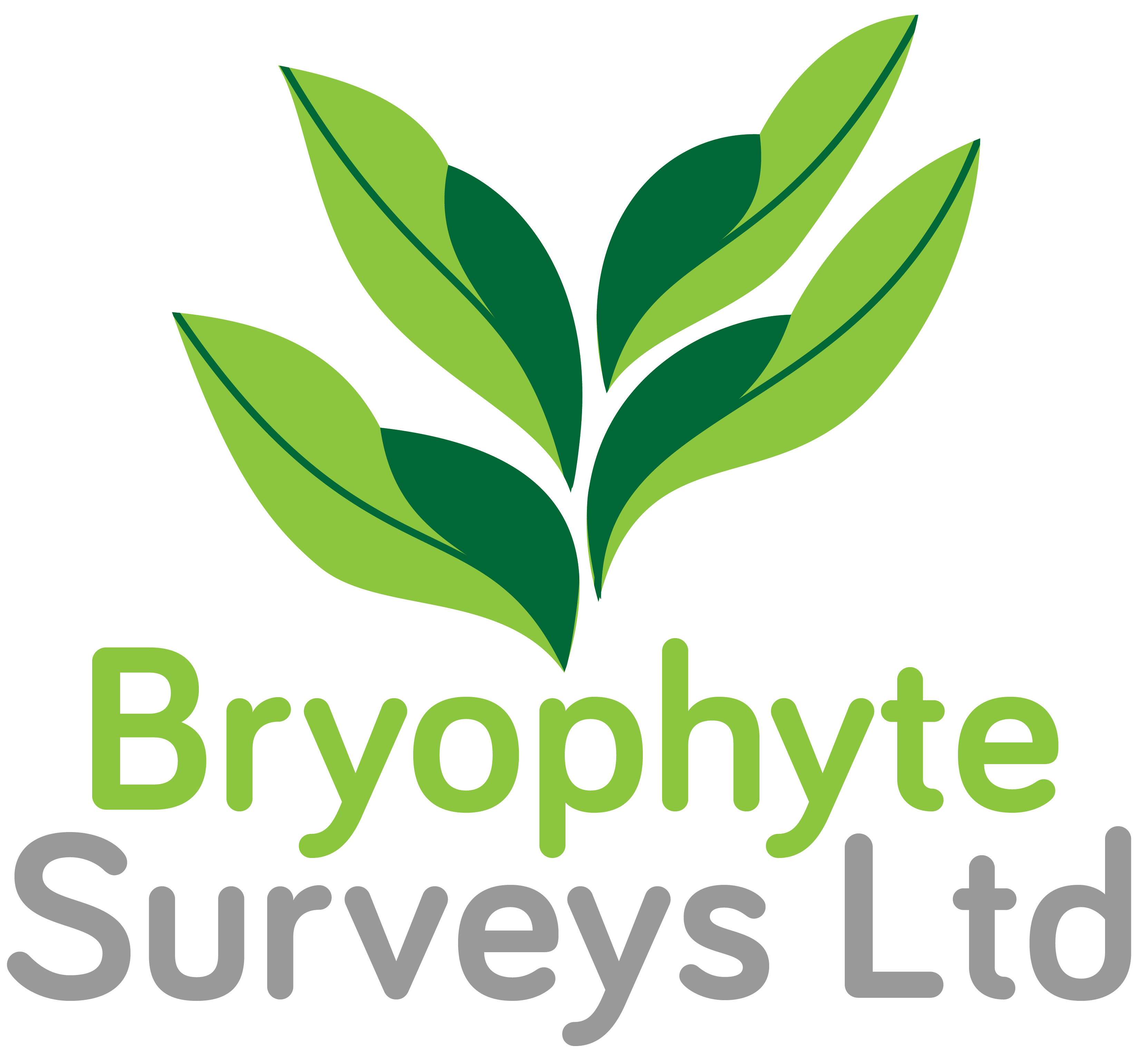 Bryophyte Surveys Ltd Logo