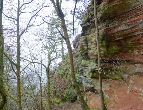 Cheshire Bryophyte Sites – new website!